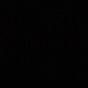 Meet your Posher, Roxy